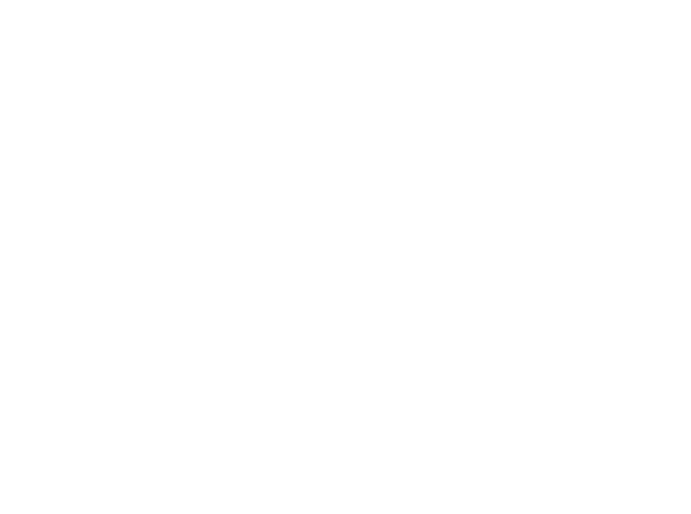 Wong Way Ventures